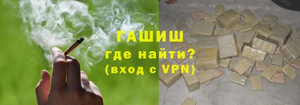 гашик Алексин
