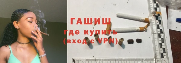 гашик Алексин