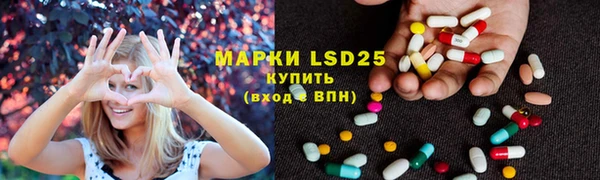 ПСИЛОЦИБИНОВЫЕ ГРИБЫ Алексеевка
