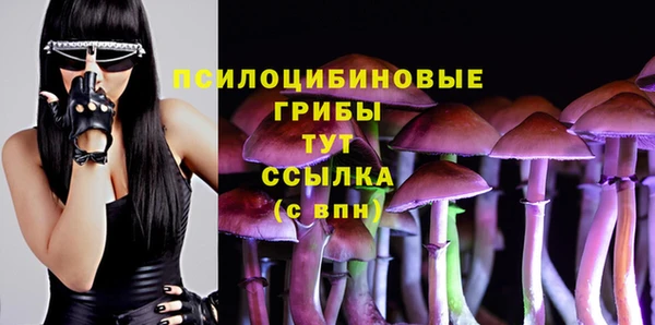 каннабис Алзамай