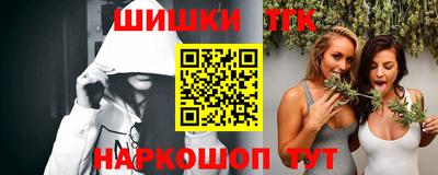 spice Камышлов