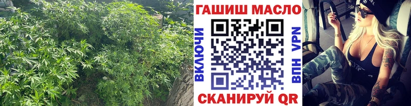 ТГК концентрат  kraken онион  Нефтеюганск 