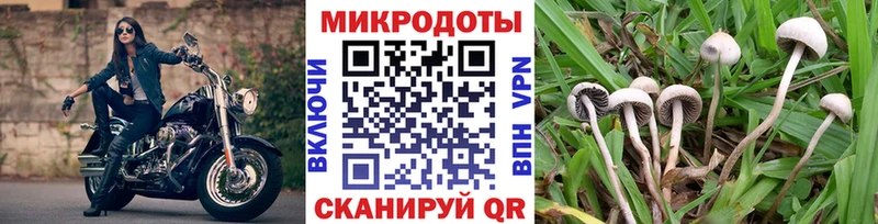 shop состав OMG зеркало Нефтеюганск Псилоцибиновые грибы Cubensis