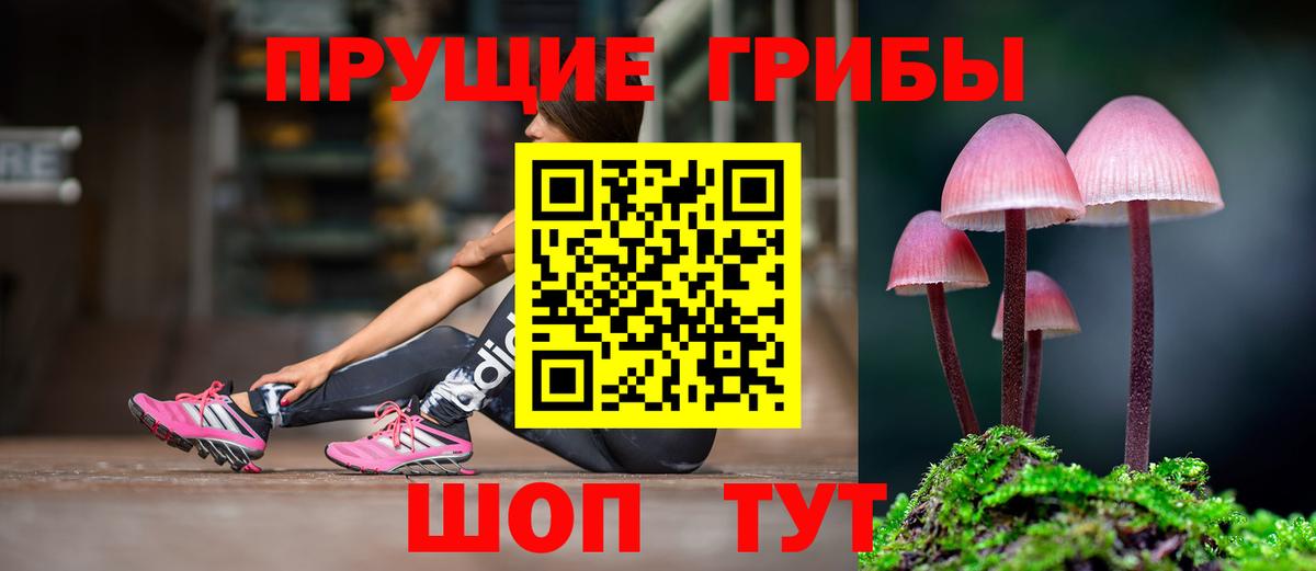 купить   Галлюциногенные грибы Cubensis  Вход с VPN  Псилоцибиновые грибы мухоморы  Нефтеюганск 